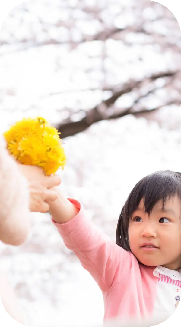 女の子がタンポポを見ている