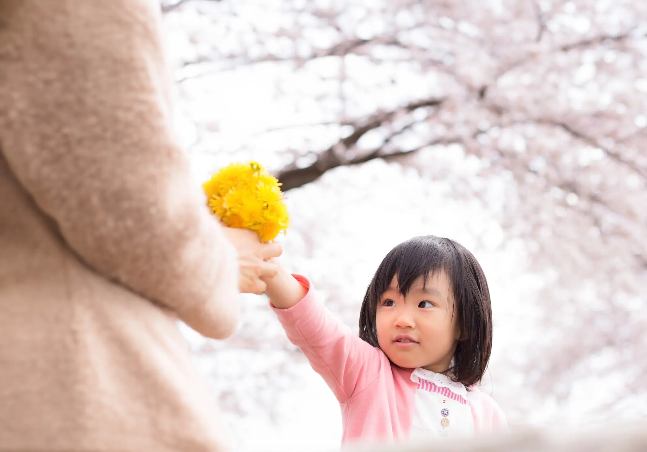 子どもが花をあげている